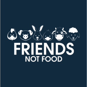 Friends Hoodie Navy